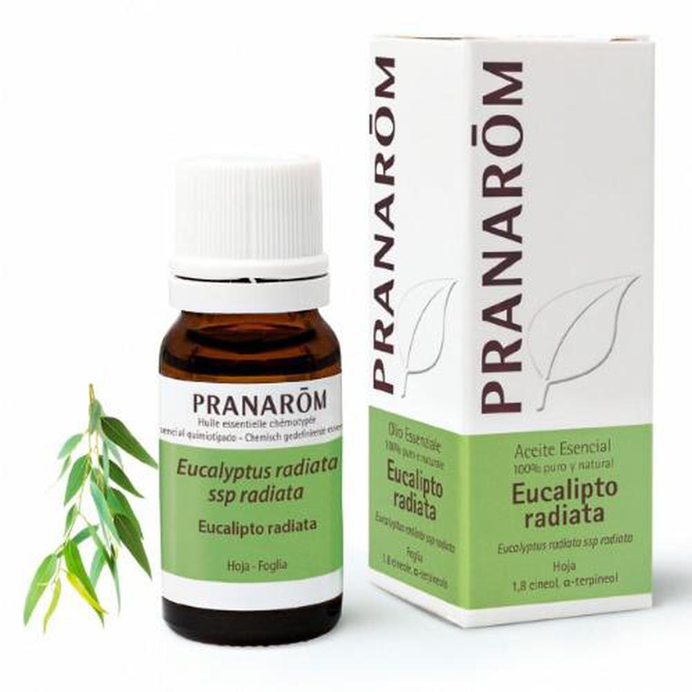 Pranarôm aceite esencial eucalipto 10ml